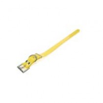 Dogtra Strap 1" x 24"