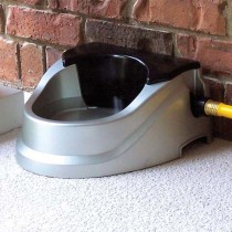RPI Aqua Buddy Automatic Float Waterer 2 quart - AB021H